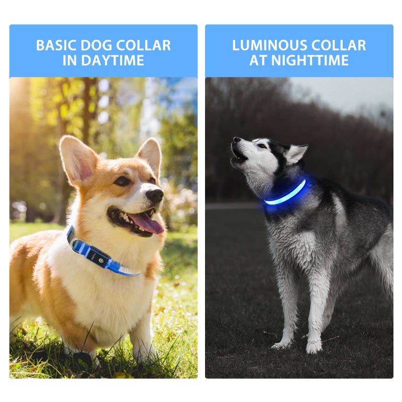 PcEoTllar Light up Dog Collar for Night Walking - LED Dog Collar Light Rechargeable Color Changing, Glow in The Dark Dog Collars Waterproof Glowing Dog Collars for Large Small Medium Dogs - Image 2